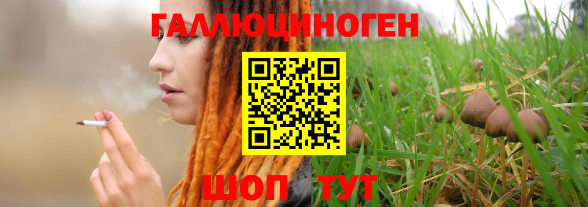 Псилоцибиновые грибы ЛСД  Галлюциногенные грибы GOLDEN TEACHER  Мурино  Вход с VPN 